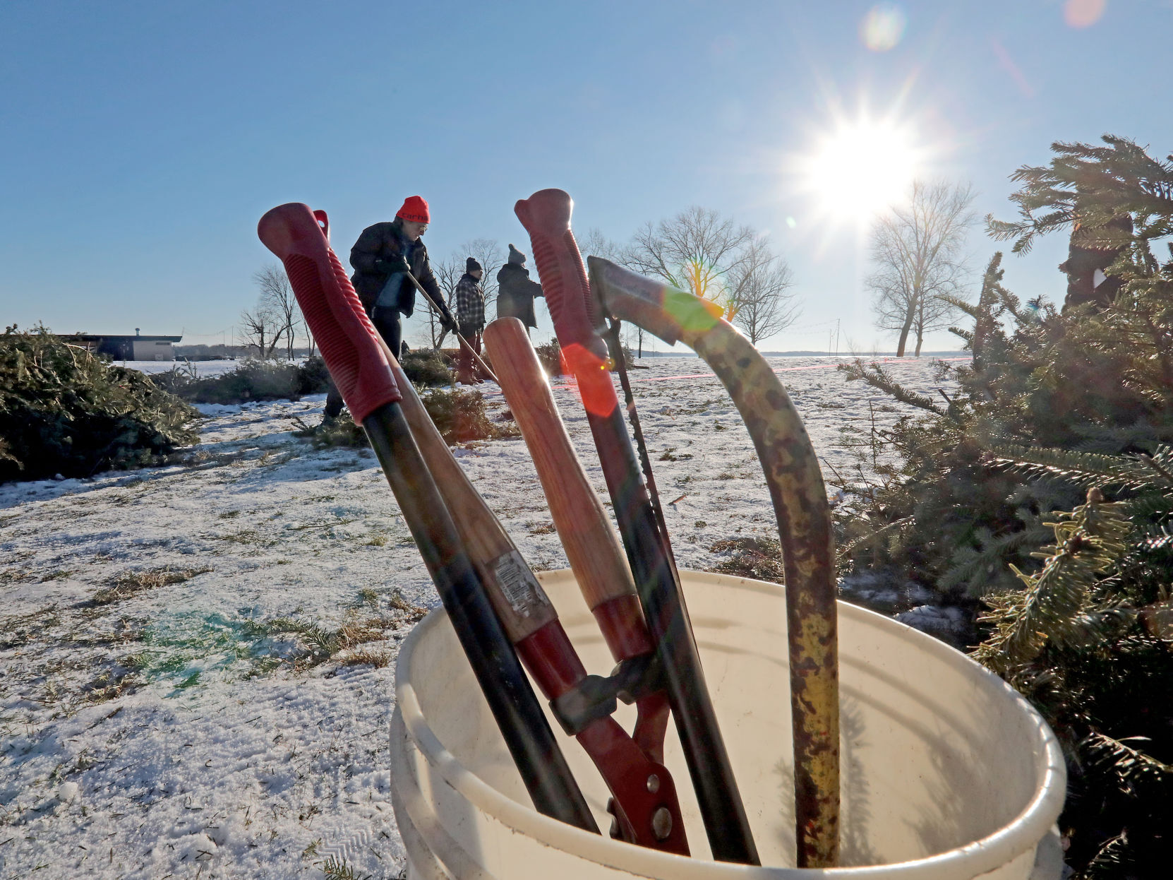 Tree-trimming tools in bucket